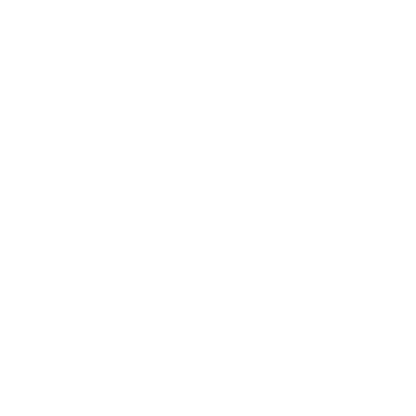 Voice